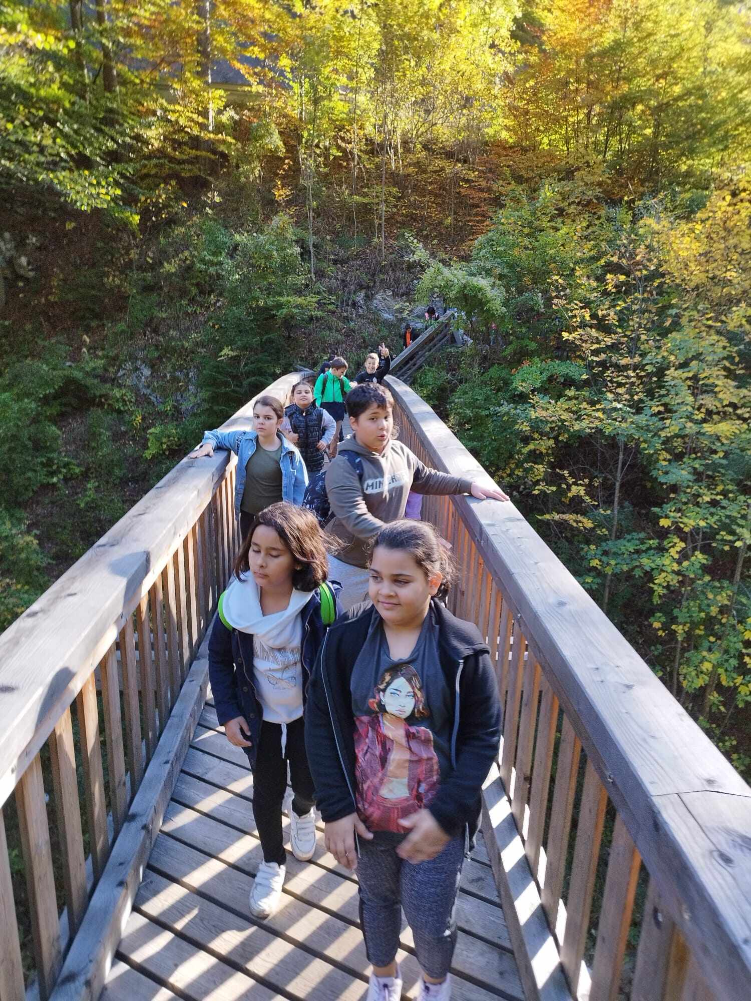 7a653af4-d71a-4448-88fd-c2a53ad4